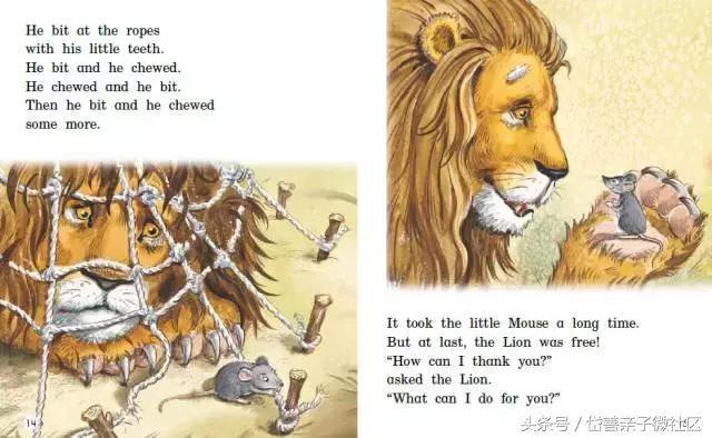 the lion and the mouse 狮子和老鼠 英文绘本