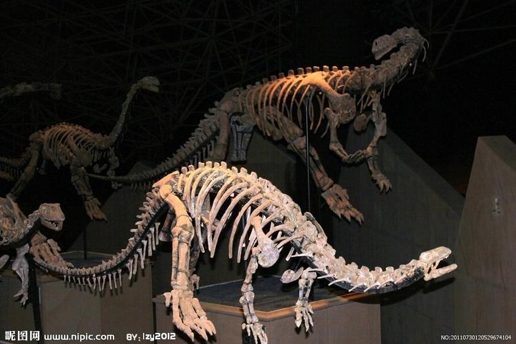 禄丰恐龙化石图片