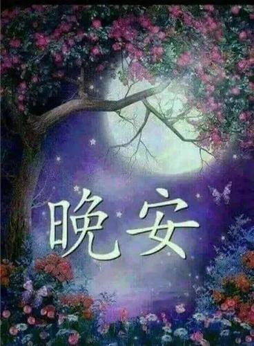 晚上好问候动画表情包,睡前群发晚安问候语图片带字