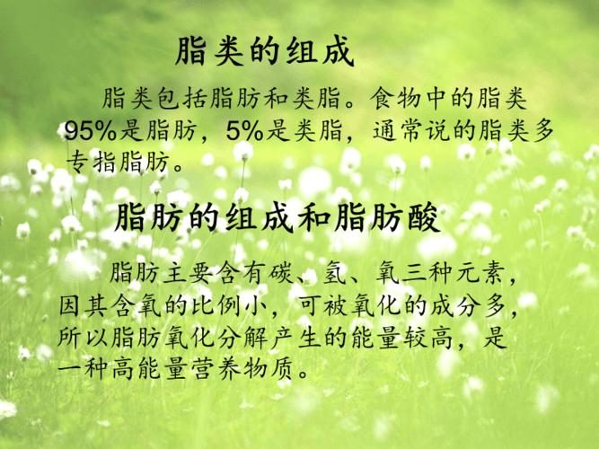 脂类的组成和分类ppt