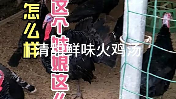 雄鸡高唱瓜果飘香