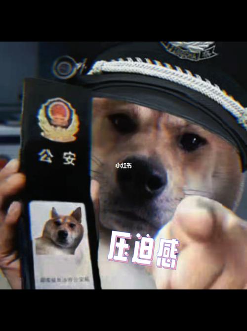 来自狗子的压迫感_表情包_素材_表情包