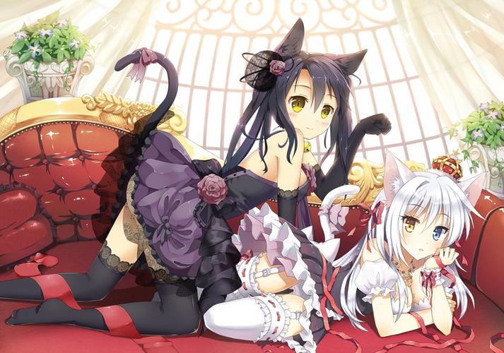 【兜兜】萝莉控和猫耳控的请速来!