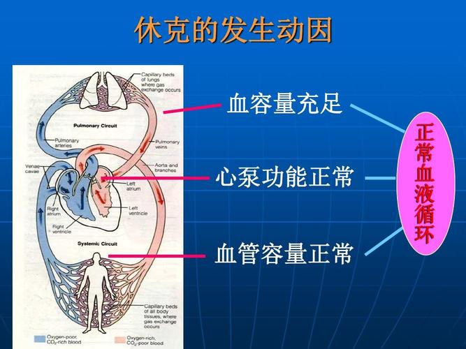 外科失血性休克的处理 休克的发生动因 血容量充足 心泵功能正常 血管