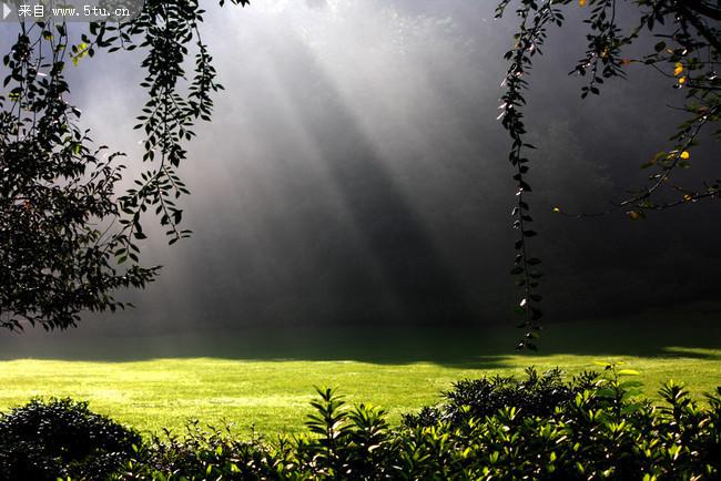 雨后阳光照射的图片