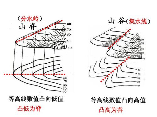 (分水岭) 山脊 山谷 (集水线) 等高线数值凸向低值 凸低为脊 等高线