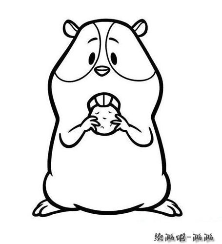 卡通豚鼠简笔画图片大全