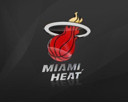 迈阿密热火队队标