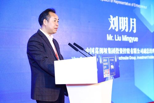 中国葛洲坝集团投资控股有限公司副总经理 刘明月