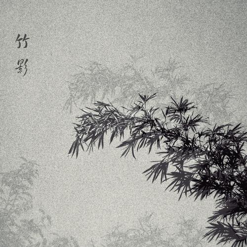 标题:竹影