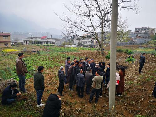 毕节杨家湾战坡看有华坟墓