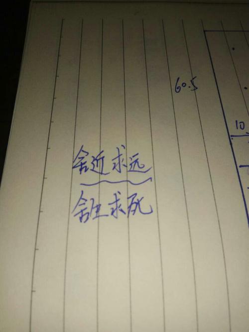 成语舍什么求什么