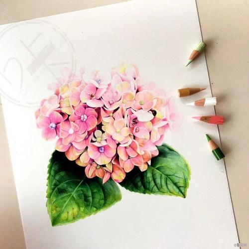 手把手教你画一个绣球花