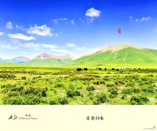 青海高原草地