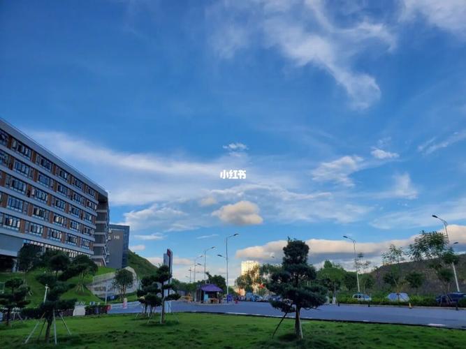 广西科技大学柳东校区_大学_景点_广西_广西科技大学柳东校区_螺蛳粉