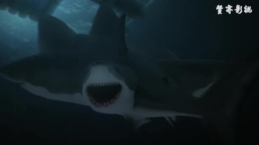 夺命六头鲨变异鲨鱼六个头能自我修复