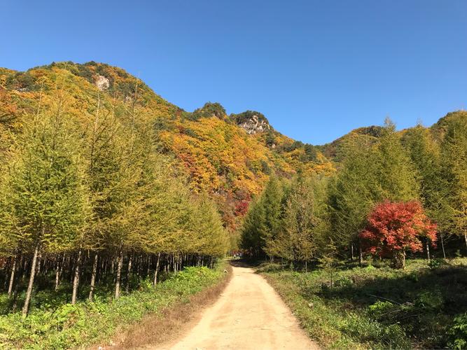 秋"枫"情韵——本溪赏枫之旅