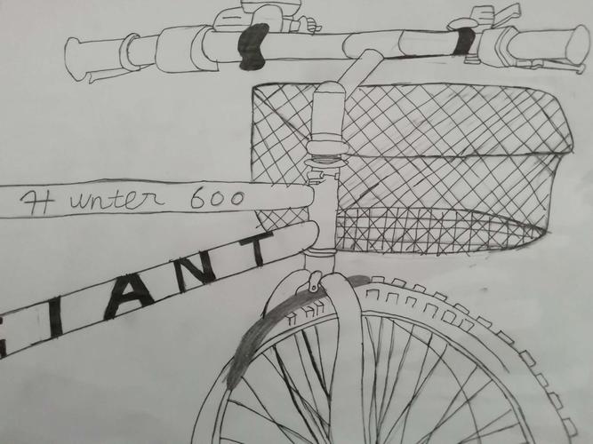 四年级学生通过认真观察自行车创作的线描作品