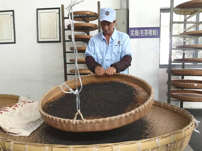 皖美这五年红茶之乡祁门打好祁红品牌