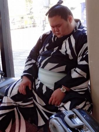 南海网 新闻中心 社会新闻 人间百态   近日,日本相扑选手千代丸一树