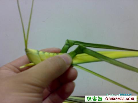 玩具小制作-手工编织蚱蜢(2)