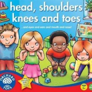 【周四班课程5音乐】head shouders knees and toes