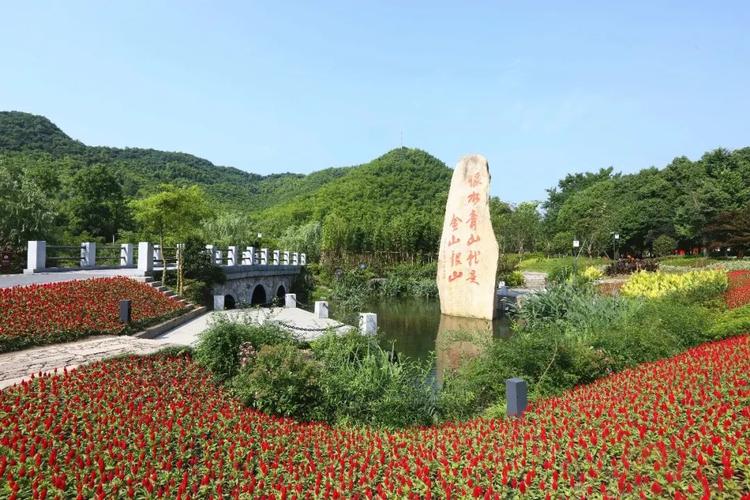 安吉县天荒坪镇余村村/魏茜 摄