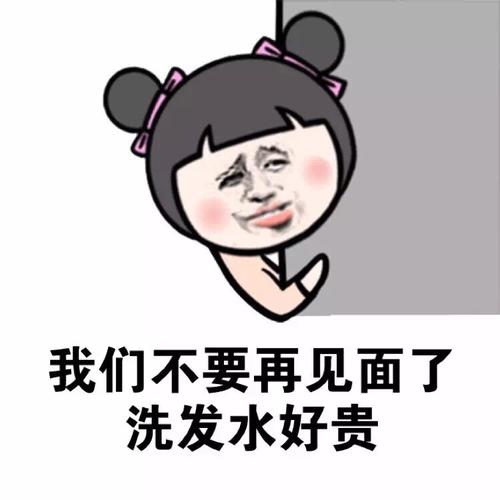 我们不要再见面了 洗发水好贵 - 斗图表情包 - 装逼