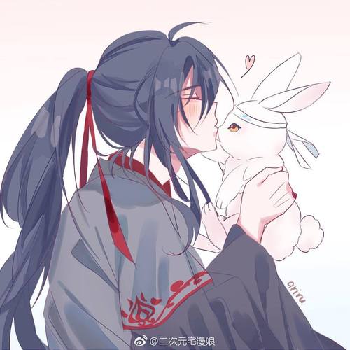 魏无羡蓝忘机
