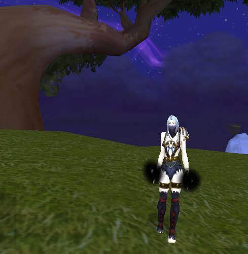 求个骚气人类女盗贼幻化