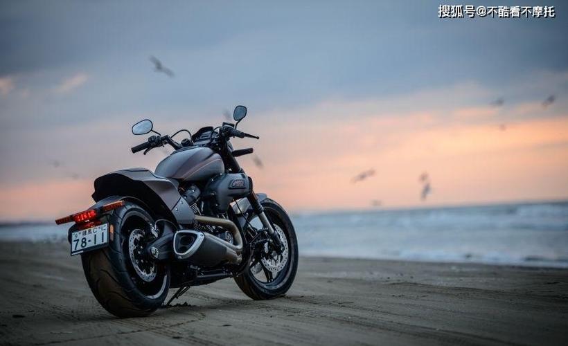 哈雷fxdr 114 公路巡航野兽,就是那么完美!