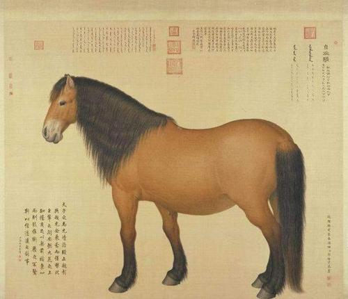 清 郎世宁——《十骏图》,《十骏犬图》