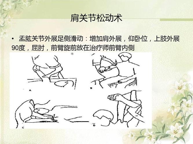 肩关节松动术ppt