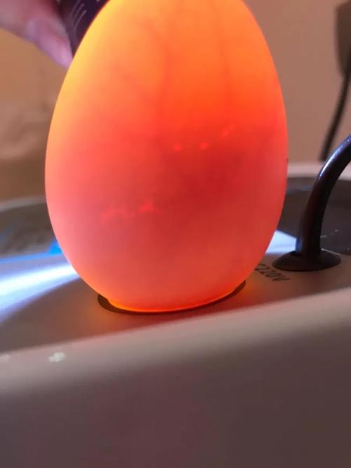 2度      第一天:把鸡蛋放入孵化机器中,这几个鸡蛋是特意让爸爸去