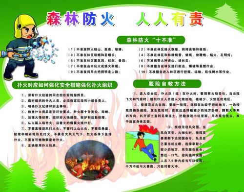五,制作一期以"森林防火安全宣传教育"为内容的手抄报,黑板报,宣传