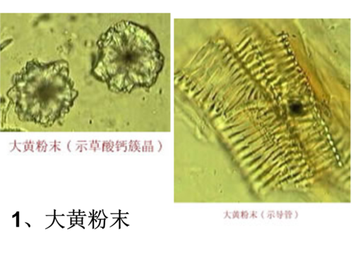 中药鉴定学实验复习2.ppt