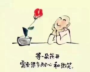 静待花开,用心陪伴