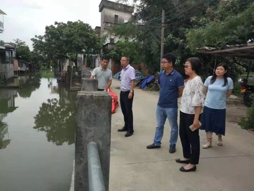 △伦教街道办事处主任,副总河长李少玲带头履行河长职责,发现问题现场