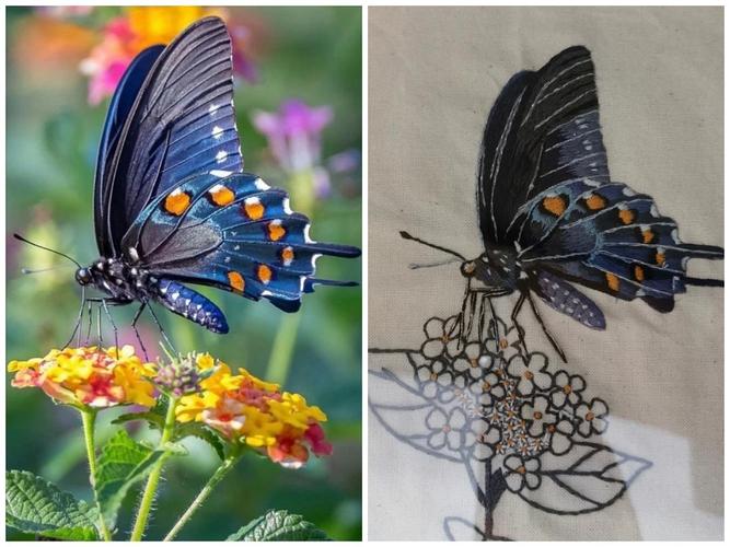 手工刺绣大蝴蝶!(蓝凤蝶)