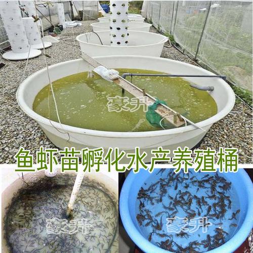 鱼苗孵化桶