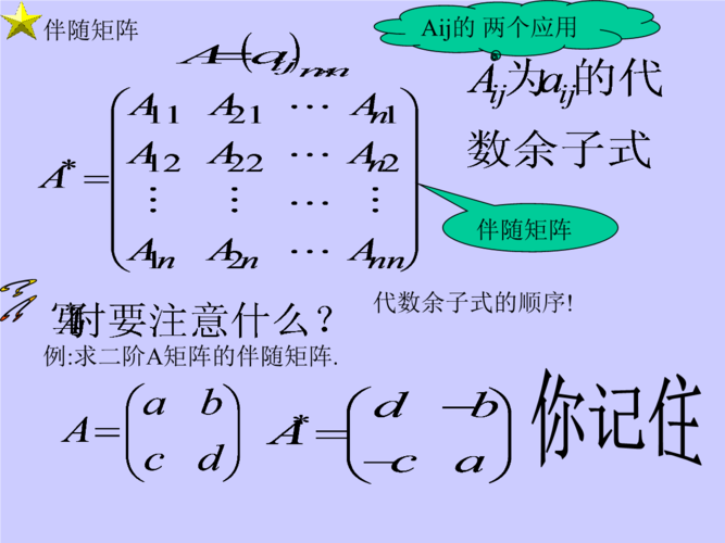 1伴随矩阵与crammer法则ppt24页