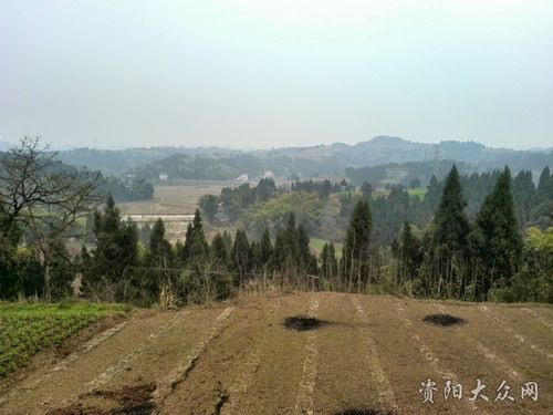 有特色的回澜镇灵官庙,你知道不?