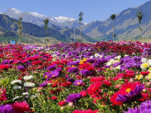 国庆中秋哪里去 百花谷里赏金秋,——走近吉木萨尔泉子街镇百花谷