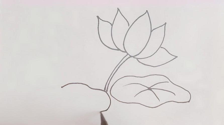 荷花的简笔画教程,几分钟学画卡通荷叶荷花,是不是很简单呢