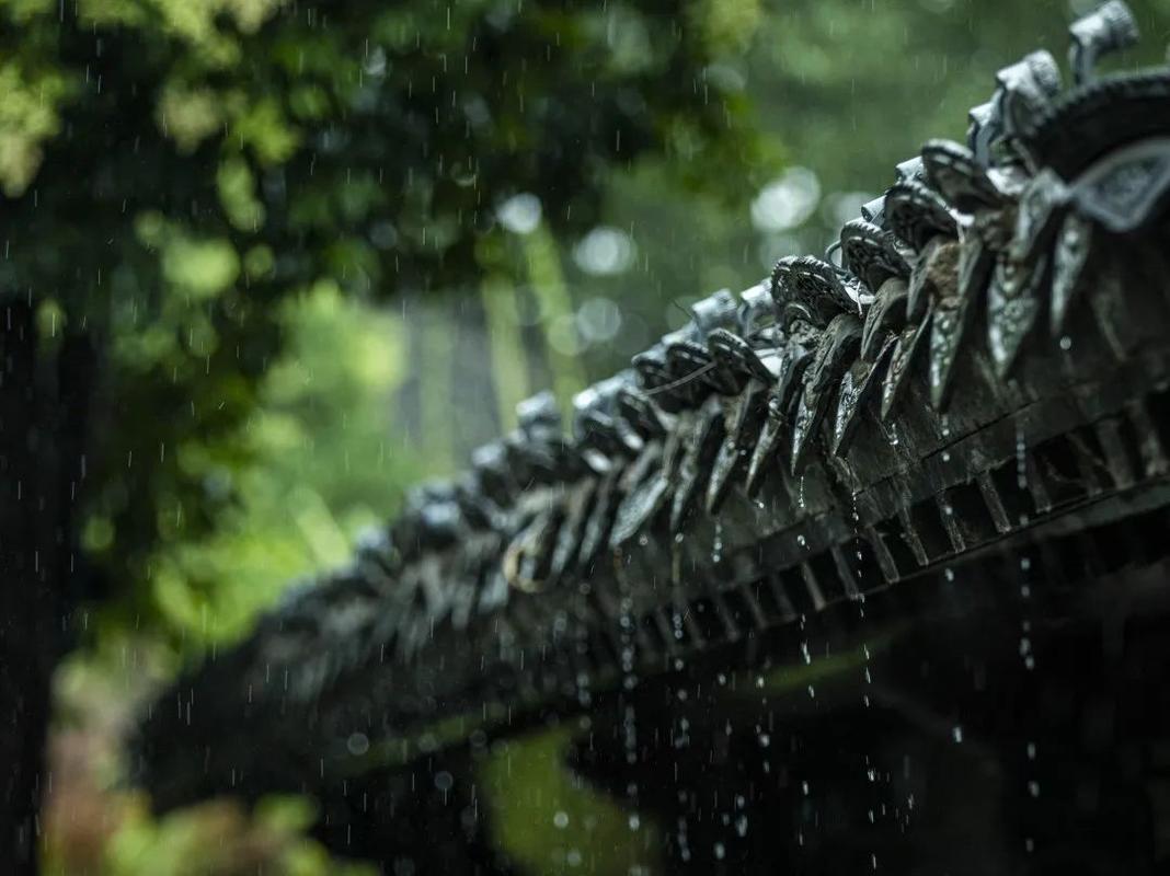 一下雨山东就美成了烟雨江南