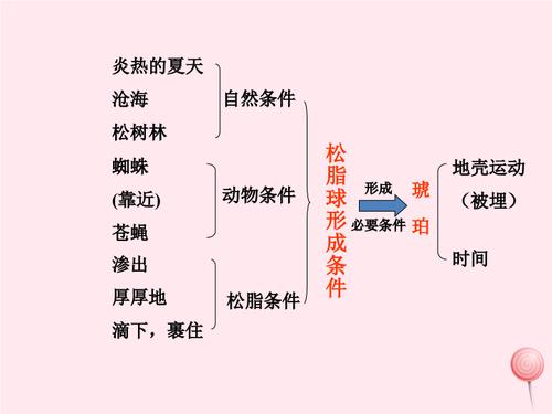 四年级语文上册第五单元24《琥珀》课件1(冀教版)
