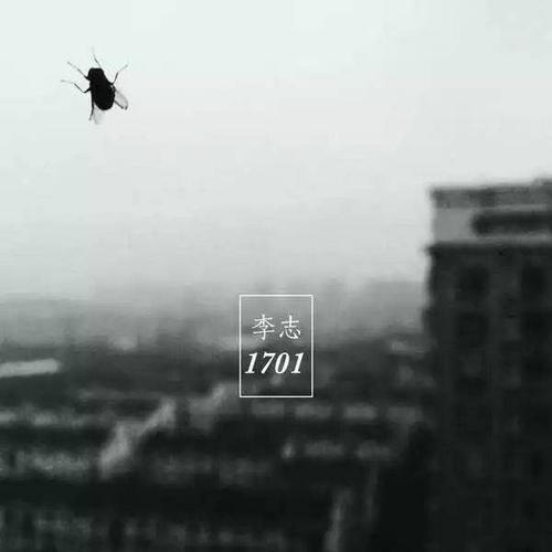 多想和你一样臭不要脸 这首《定西》由李志本人作词作曲,收录于他的