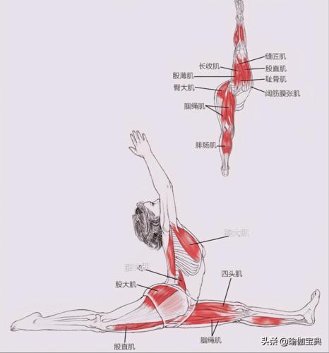 超简单3个瑜伽姿势瞬间缓解臀部髋屈肌紧绷酸t促进背部健康