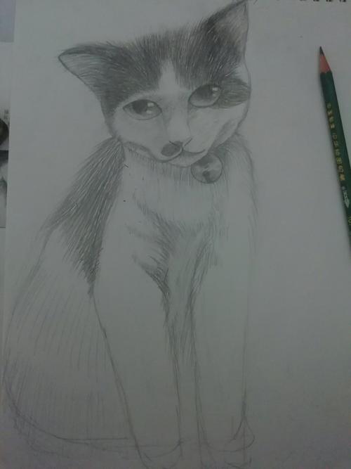 然后一副猫咪素描便画好了. 以下为我比较满意的作品