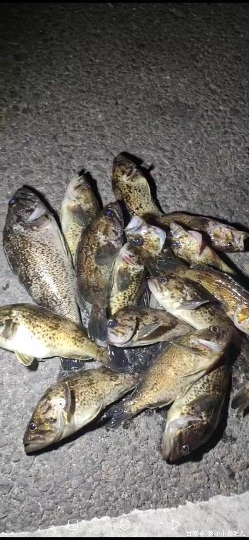 海钓黑头鱼,这个方法绝了